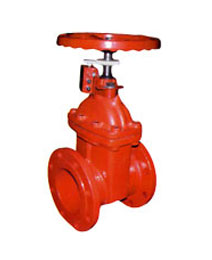 RVHS��̖���������l�y