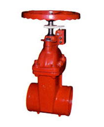 RVGS���������l�y